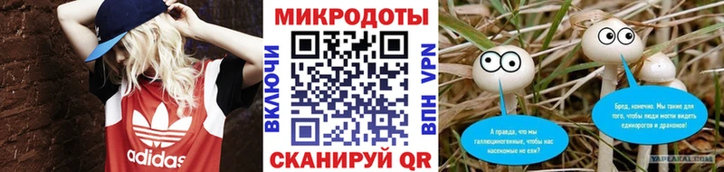 mega как войти  Беломорск  Псилоцибиновые грибы Psilocybe 