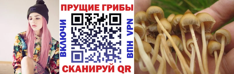 Галлюциногенные грибы Magic Shrooms Беломорск